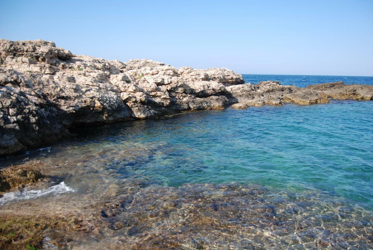 Eagle'S Nest Vila Polignano a Mare Exterior foto